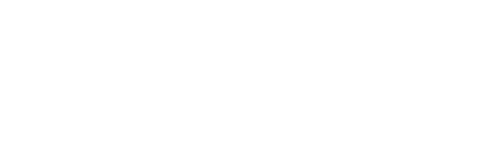 Area 41 Car Audio